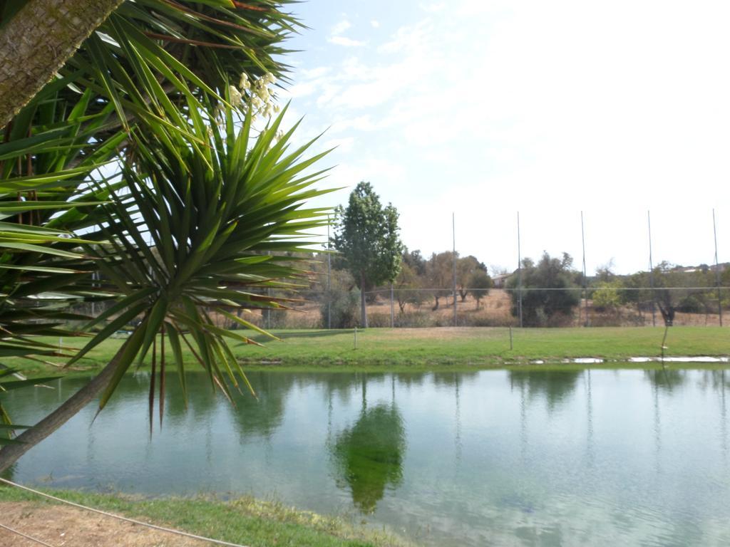 Yellow Alvor Garden Екстериор снимка