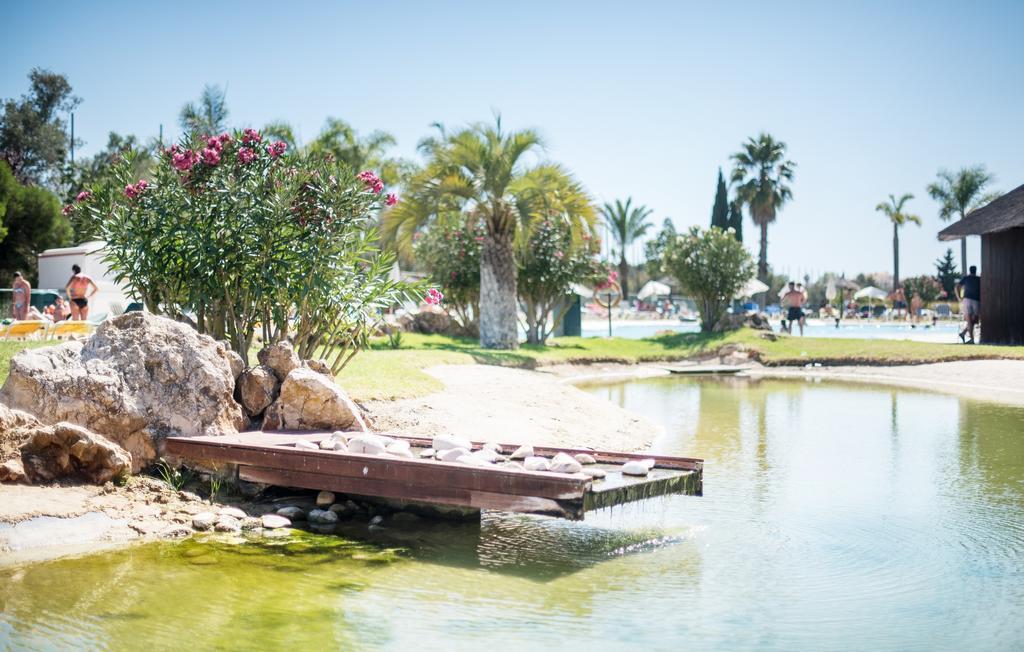 Yellow Alvor Garden Екстериор снимка