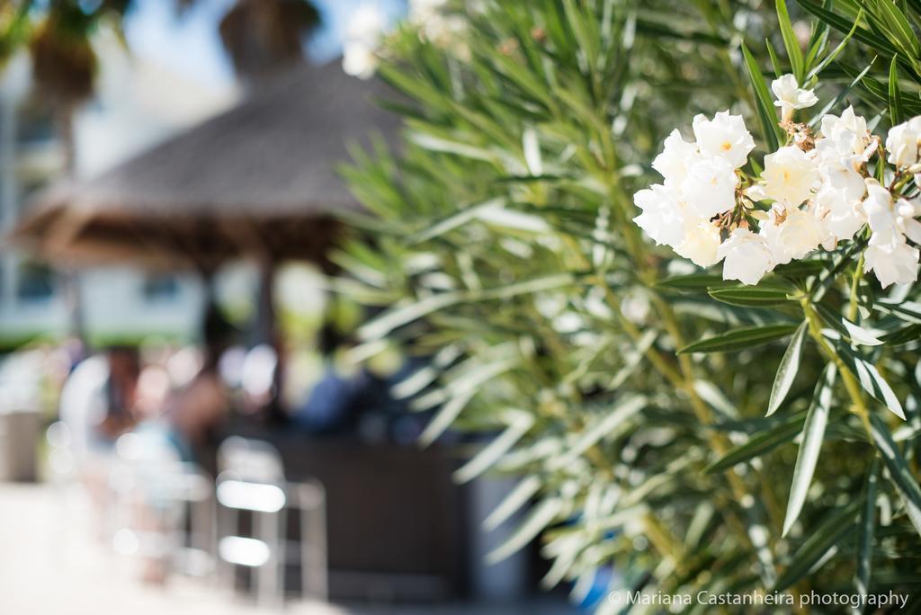 Yellow Alvor Garden Екстериор снимка